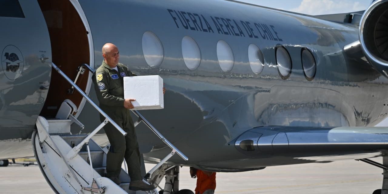 FUERZA AÉREA DE CHILE REALIZÓ EXITOSO TRASLADO DE ÓRGANOS PARA TRASPLANTE