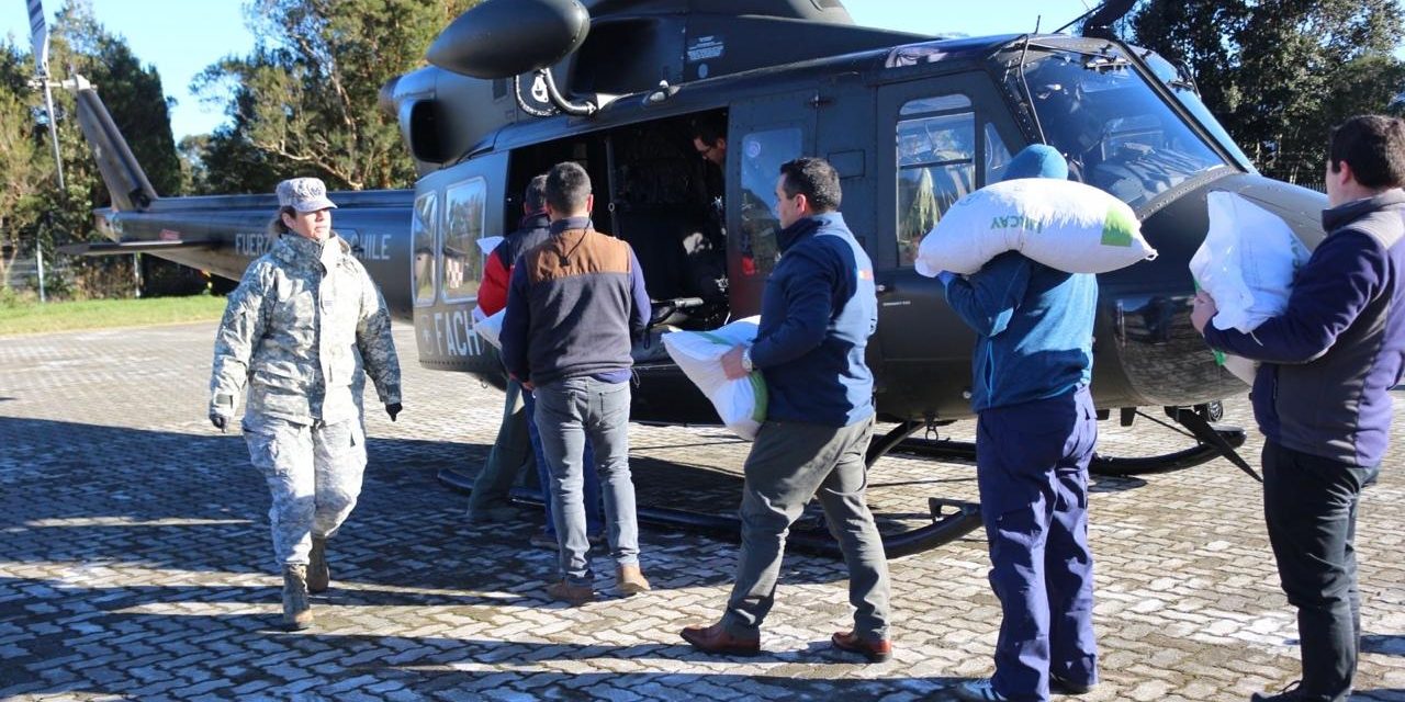 FACH REALIZÓ EXITOSO PUENTE AÉREO EN ALTA CORDILLERA DE LA REGIÓN DE LOS LAGOS