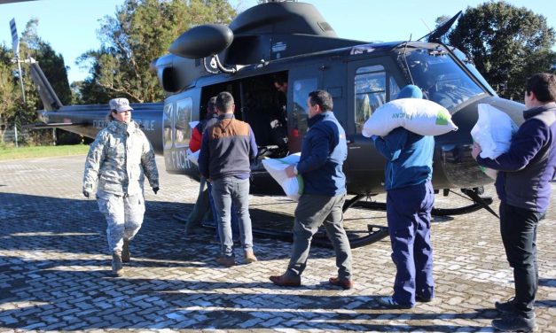 FACH REALIZÓ EXITOSO PUENTE AÉREO EN ALTA CORDILLERA DE LA REGIÓN DE LOS LAGOS