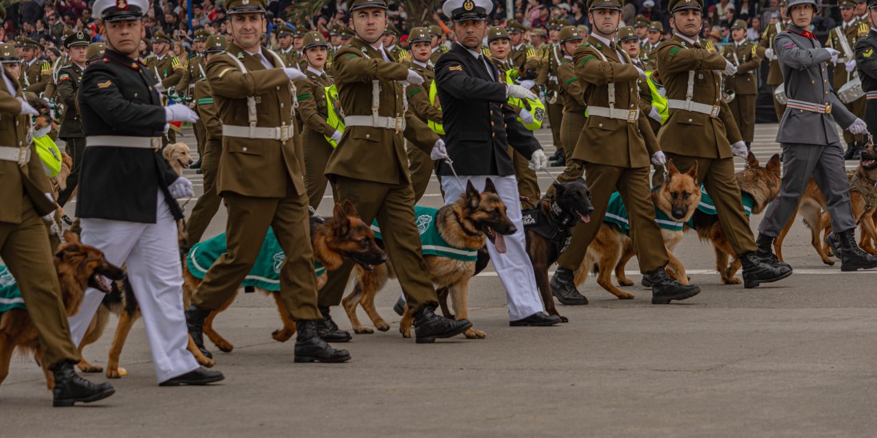 Ejército celebra sus 216 años de glorias en la Gran Parada Militar 2026