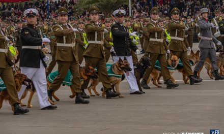 Ejército celebra sus 216 años de glorias en la Gran Parada Militar 2026