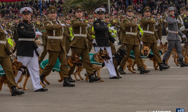 Ejército celebra sus 216 años de glorias en la Gran Parada Militar 2026